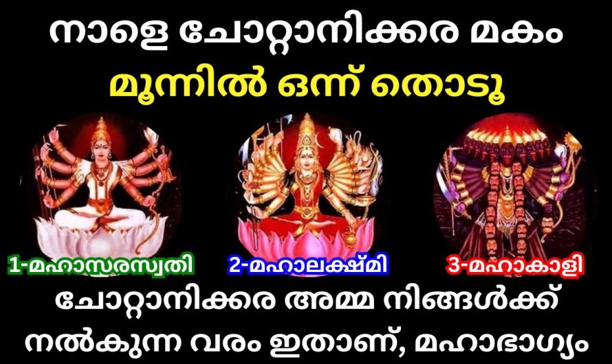 ചോറ്റാനിക്കര അമ്മയെ മുറുകെ പിടിച്ചോളൂ ഒന്നു തൊട്ടാൽ മതി ഫലം ഉറപ്പാണ്