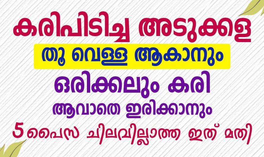 ഇനി കരിപിടിച്ച അടുക്കള വെട്ടി തിളങ്ങും, ഇത്രയും ഭംഗിയുള്ള ഭാഗം വീട്ടിൽ വേറെ ഉണ്ടാകില്ല