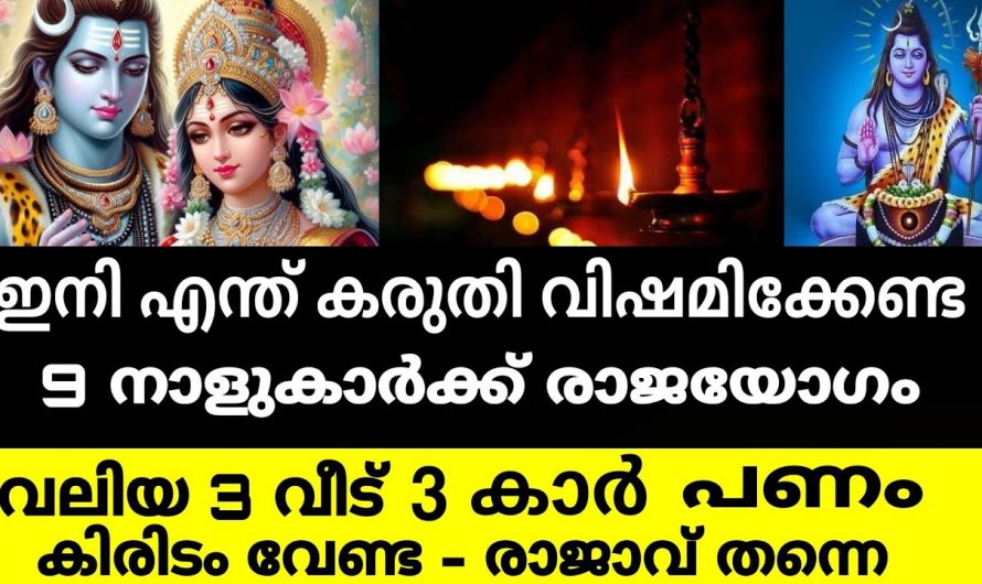 ദുഃഖങ്ങളെല്ലാം അവസാനിച്ചു ഇനി അസുലഭമായ നേട്ടങ്ങളാണ് നിങ്ങളെ തേടിയെത്തുന്നത്