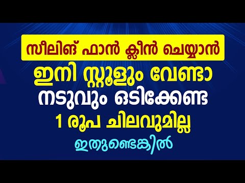 ഫാനിൽ ഒന്ന് തൊടുക പോലും ചെയ്യേണ്ട വൃത്തിയാക്കാൻ ഇനി വളരെ എളുപ്പം