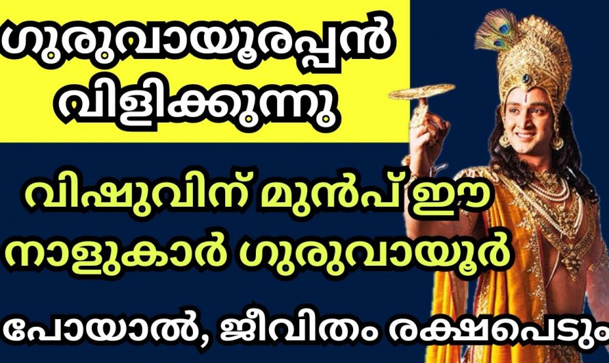 ഇപ്പോൾ പോയില്ലെങ്കിൽ പിന്നെ നിങ്ങൾ എന്ന് പോകാനാണ്, ഇതുതന്നെയാണ് ആ അനുയോജ്യമായ സമയം