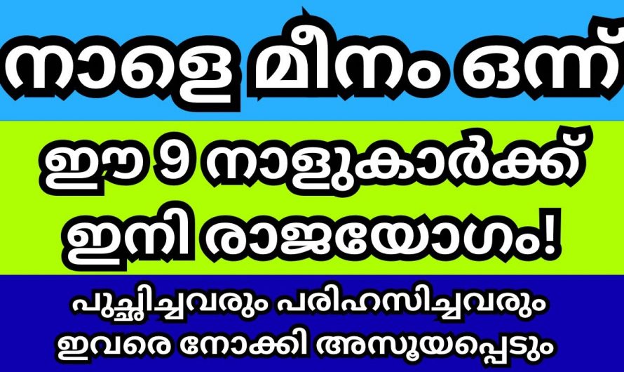 സൗഭാഗ്യത്തിന്റെ ഈ മീനമാസം നിങ്ങളുടെ തല വരെയും മാറ്റാൻ പോകുന്നു