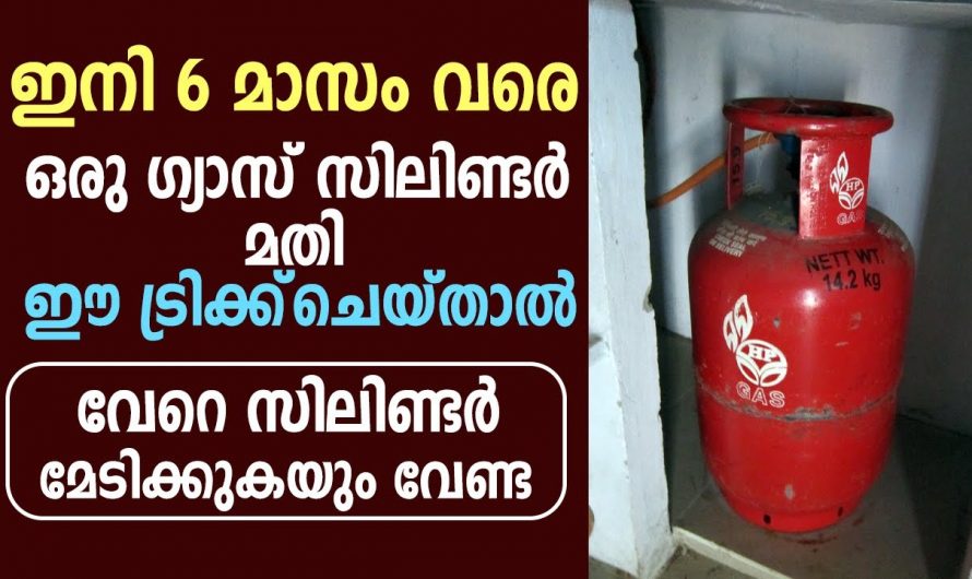 ഗ്യാസിലിൻഡർ ഇങ്ങനെ ലാഭിക്കാം എന്നറിഞ്ഞാൽ നിങ്ങളുടെ കണ്ണ് തള്ളും എന്ന കാര്യത്തിൽ സംശയം വേണ്ട