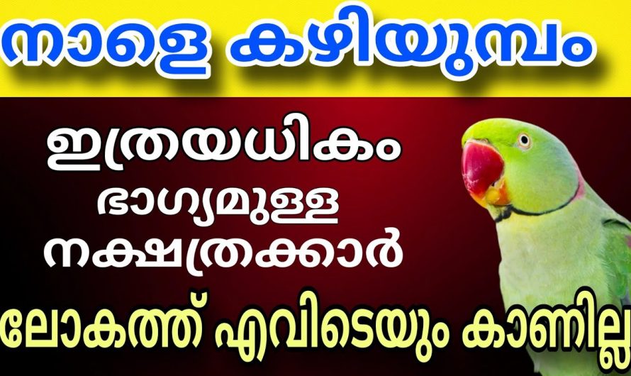 നിങ്ങളും ഈ ഭാഗ്യ നക്ഷത്രക്കാരാണ് നിങ്ങളുടെ ഭാഗ്യം അറിയാൻ ഇവിടെ ഒന്ന് കാണു