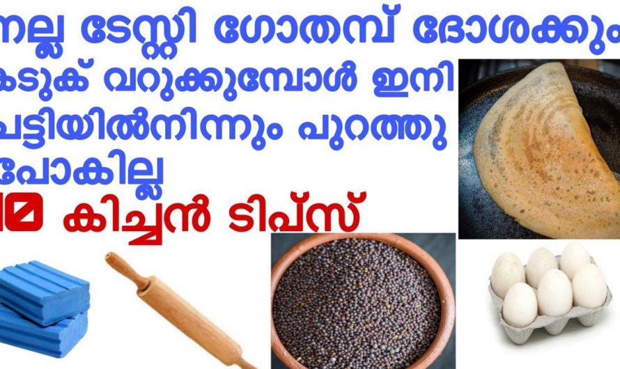 ഇങ്ങനെ ഒരു ഗോതമ്പ് ദോശ ഇതുവരെ ആരും ഉണ്ടാക്കി കാണില്ല