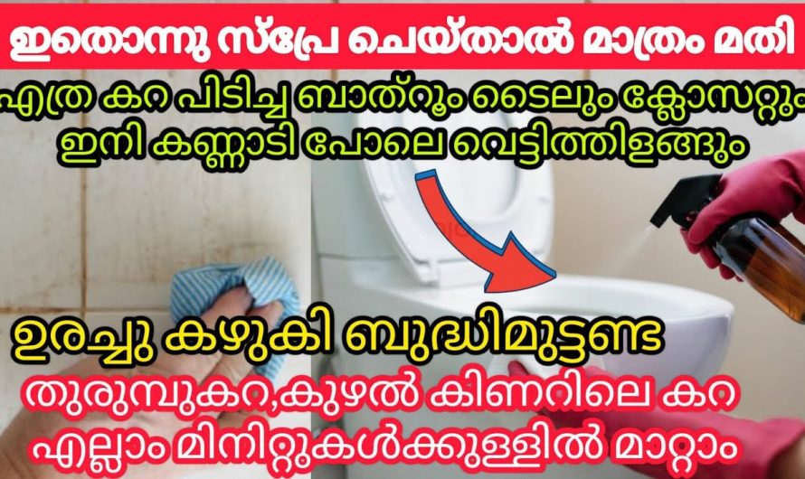 പുതിയത് വിരിച്ചാൽ പോലും ടൈലിന് ഇത്രയും വൃത്തി കാണില്ല