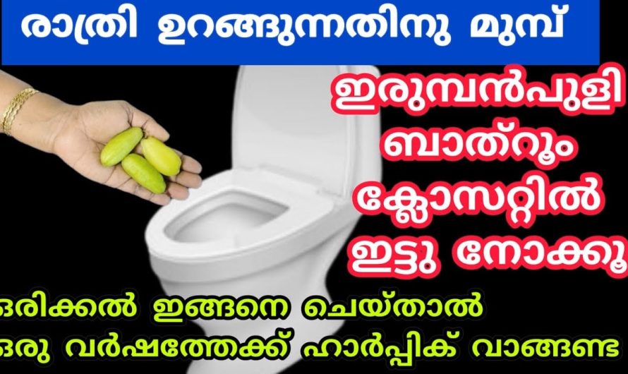 കുറച്ച് ഇരുമ്പൻവിളി മതി നിങ്ങളുടെ ബാത്റൂമും ഇനി വെട്ടിത്തിളങ്ങും