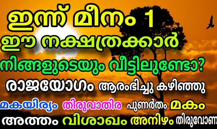 ജീവിതത്തിൽ നിങ്ങൾ ഒരിക്കലും ഇനി ഈ മീനമാസം മറക്കില്ല