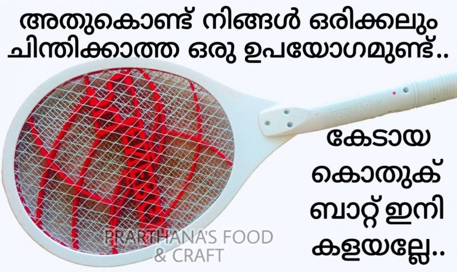 കേടായാൽ ഇനി കളയേണ്ട, കൊതുക് ബാറ്റ് ഇനി ഇങ്ങനെയും ഉപയോഗിക്കാം