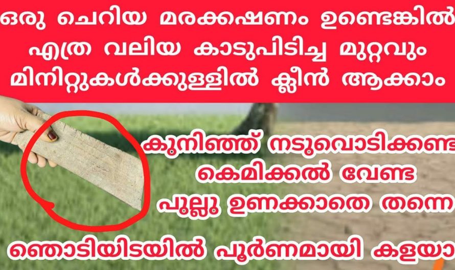 ഇനി പുല്ല് പറിച്ച് ബുദ്ധിമുട്ടണ്ട പരാജയപ്പെടില്ല, ഒരു ചെറിയ മരകഷണം മതി