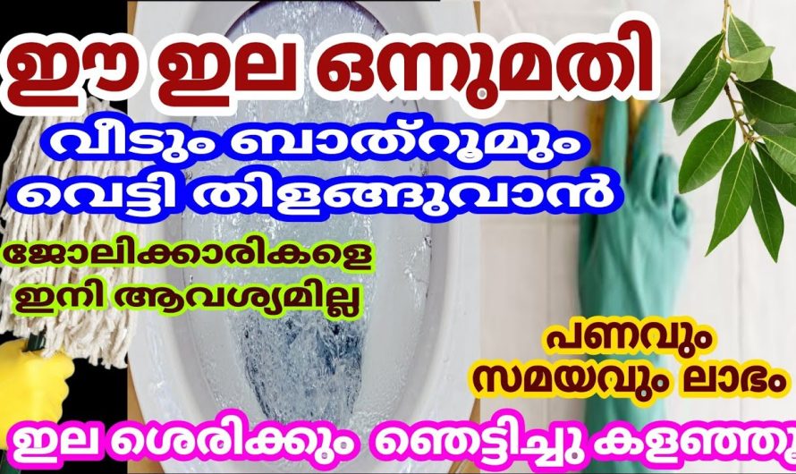 ഈ ചെറിയ കഷണം ഇലയ്ക്ക് ഇത്ര വലിയ അത്ഭുതം ചെയ്യാൻ ആകുമോ