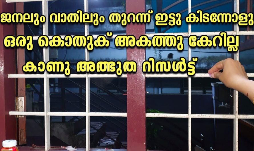 ജനലും വാതിലും തുറന്നിട്ടാൽ പോലും ഒരു കൊതുക് പോലും അകത്തേക്ക് കയറില്ല