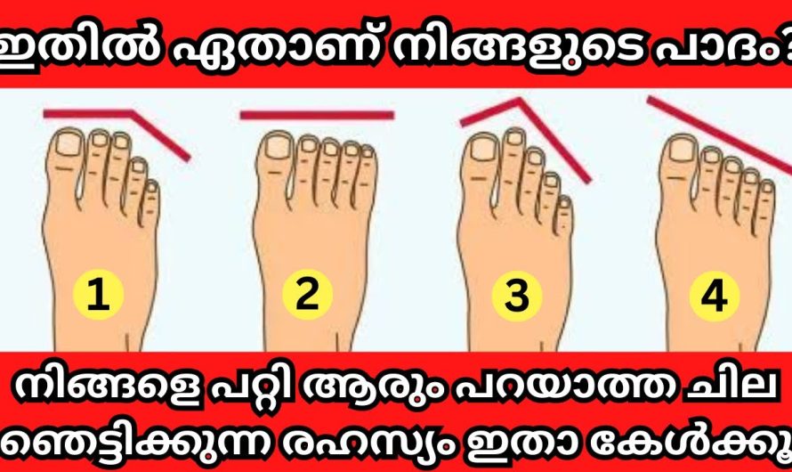 മറ്റൊന്നും വേണ്ട നിങ്ങളുടെ കാൽപാദം മാത്രം കണ്ടാൽ മതി കാര്യം പറയാം