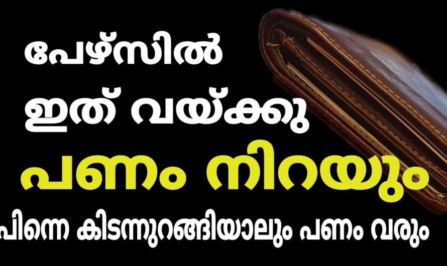 നിങ്ങളുടെ പേഴ്സിനകത്ത് ഇത് മാത്രം വെച്ചാൽ മതി നിങ്ങൾ ഒരു കോടീശ്വരൻ ആകും