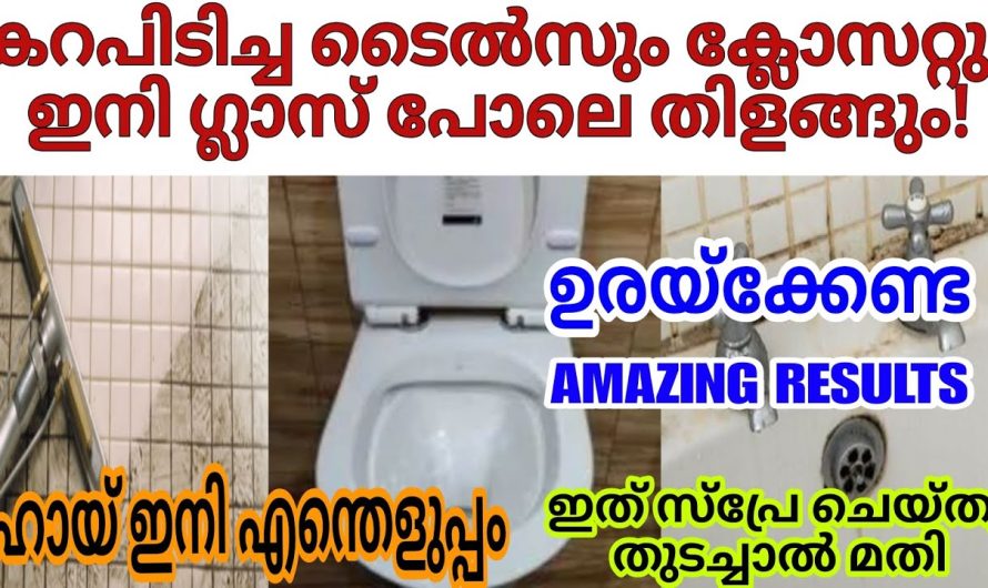 മാസത്തിലൊരിക്കലെങ്കിലും ഇങ്ങനെ ചെയ്താൽ ഇനി ക്ലോസറ്റ് ഒന്നും കഴുകുക പോലും വേണ്ട