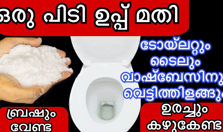 കുറച്ച് ഉപ്പ് ഉണ്ട് എങ്കിൽ ഇനി എത്ര വലിയ അഴുക്കും നിസാരം