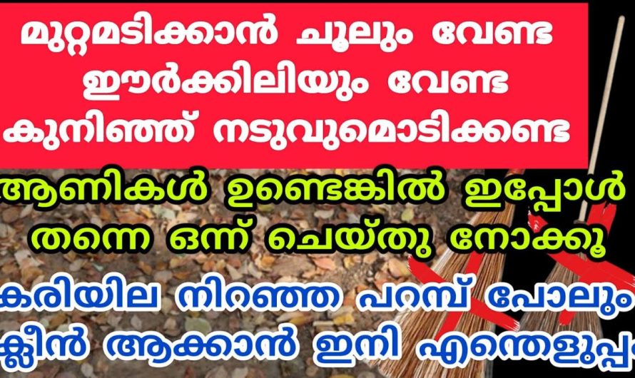 മുറ്റമടിച്ച് ഇനി ബുദ്ധിമുട്ട് വേണ്ട നനഞ്ഞ ചപ്പു വരെ എളുപ്പത്തിൽ നീക്കം ചെയ്യാൻ ഈ ഒരു സാധനം മാത്രം മതി