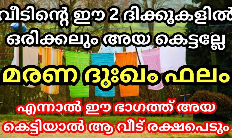 എന്തു കാരണം കൊണ്ടാണെങ്കിലും അഴ ഇവിടെയാണെങ്കിൽ സർവ്വനാശം