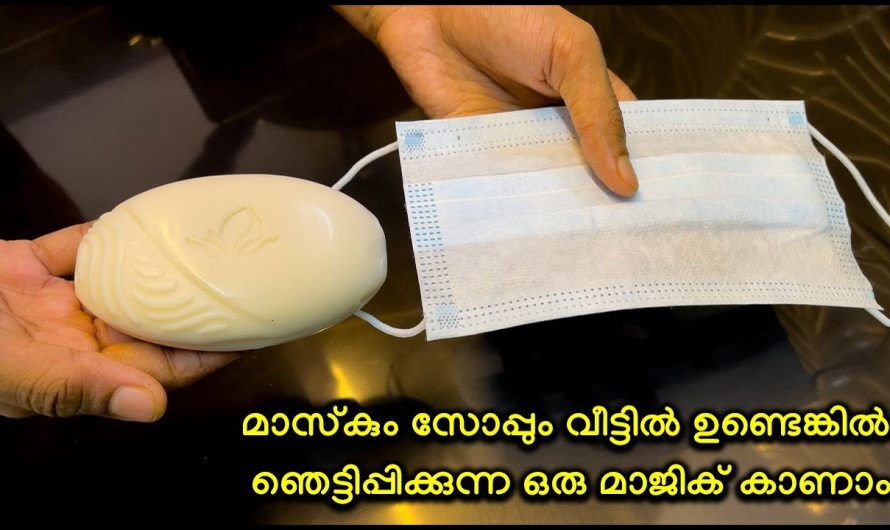 ഒരു മാസ് ഉണ്ടെങ്കിൽ ഇനി നിങ്ങളുടെ ബാത്റൂമിൽ ഇങ്ങനെ ഒരു വൃത്തികേട് ഉണ്ടാകില്ല