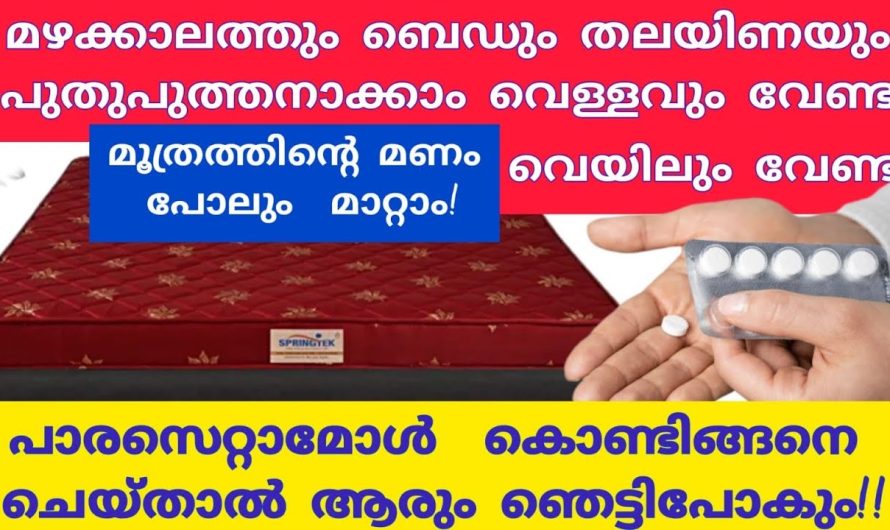 നിങ്ങളുടെ വീട്ടിലെ പണികൾ എളുപ്പമാക്കാനായി വീട്ടമ്മമാർക്കും മറ്റും ഒരു എളുപ്പമാർഗം ഇവയാണ്