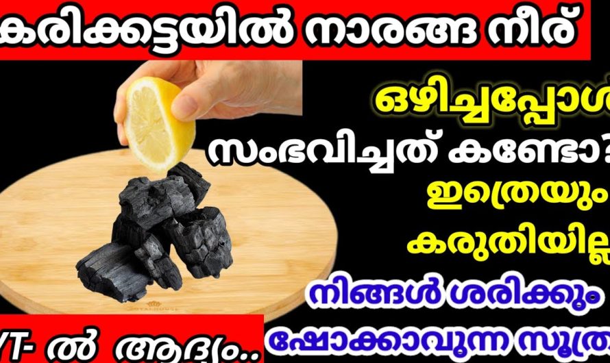 ഇതുണ്ടെങ്കിൽ കാര്യങ്ങൾ വളരെ ഈസിയാണ്, ഇനി നിങ്ങളുടെ പാത്രങ്ങൾ പുതിയത് പോലെ തിളങ്ങും