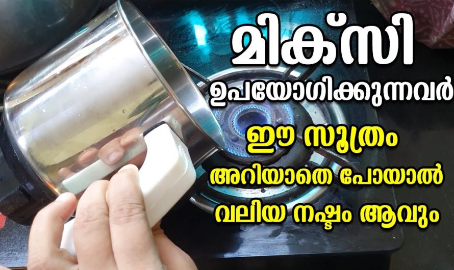 ഇത്രയും നാൾ മിക്സി ഉപയോഗിച്ചിട്ടും നിങ്ങൾ ഇക്കാര്യം അറിഞ്ഞില്ലേ