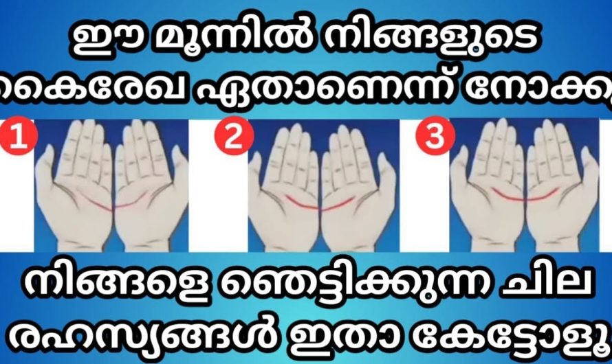 നിങ്ങളുടെ കൈകളിലും ഈ രണ്ടു രേഖകൾ കൂടിച്ചേരുന്നത് ഇങ്ങനെയാണോ