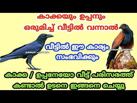 ഇനി കാക്കയും ഉപ്പനെയും കണ്ടാൽ വെറുതെ വിട്ടേക്കരുത്