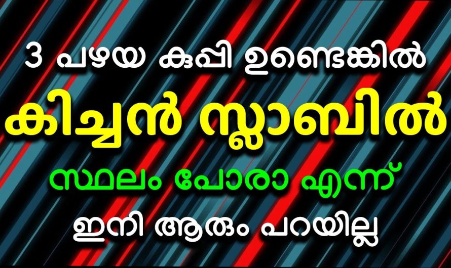 വേസ്റ്റ് ആണ് കരുതേണ്ട ഈ മൂന്ന് കുപ്പി ഉണ്ടെങ്കിൽ അടുക്കള സ്ലാബ് എപ്പോഴും വൃത്തിയായി കാണാം