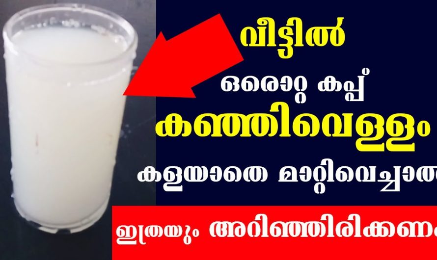 ഇനി ആരോഗ്യത്തിനും കൃഷിക്കും സൗന്ദര്യവർദ്ധനവിനും കഞ്ഞിവെള്ളം