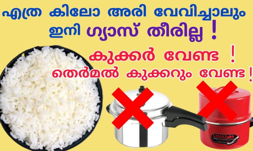 ഇതറിയാതെ കുക്കർ ഉപയോഗിച്ചാൽ ഗുണത്തെക്കാൾ ഏറെ ദോഷം തന്നെയാണ്