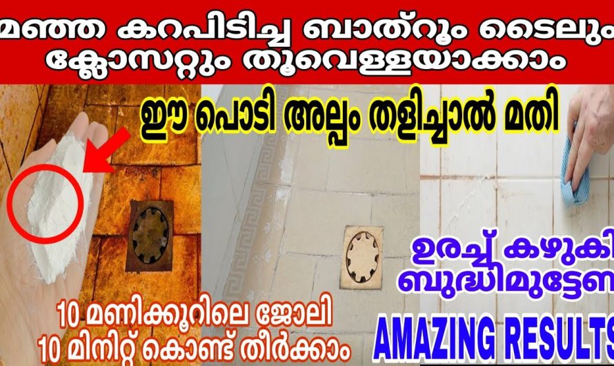 കേടുവരാതെ ഒരാഴ്ചയോളം പാല് സൂക്ഷിക്കാൻ ഇതു മതി