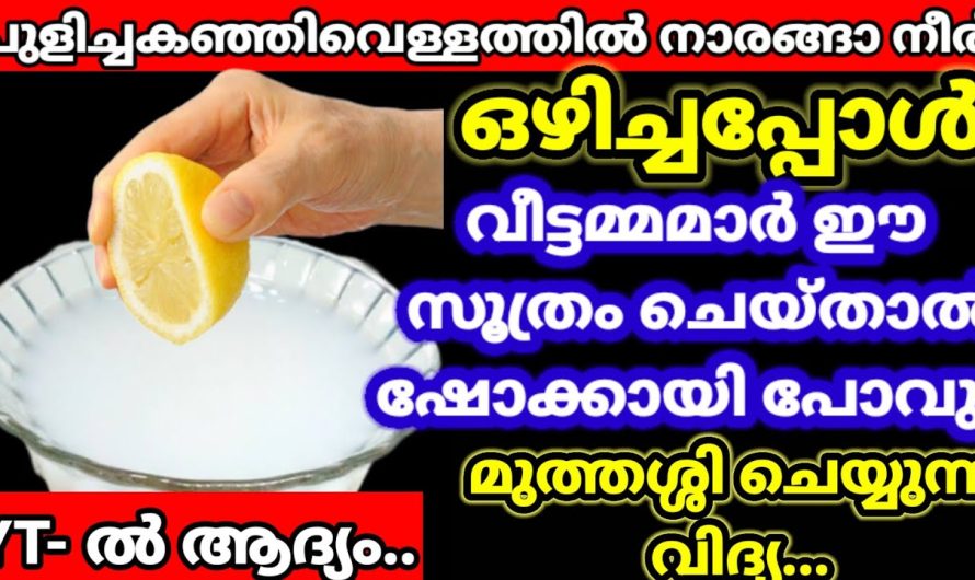 ഒരു തരി പോലും പശ പറ്റാതെ ചക്ക വെട്ടാൻ ഒരു തുള്ളി വെളിച്ചെണ്ണ വേണ്ട