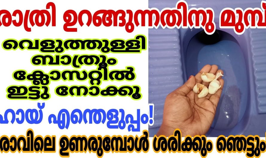 നിങ്ങളും ഈ ചില കാര്യങ്ങൾ അറിഞ്ഞാൽ ഉറപ്പായും ഞെട്ടും