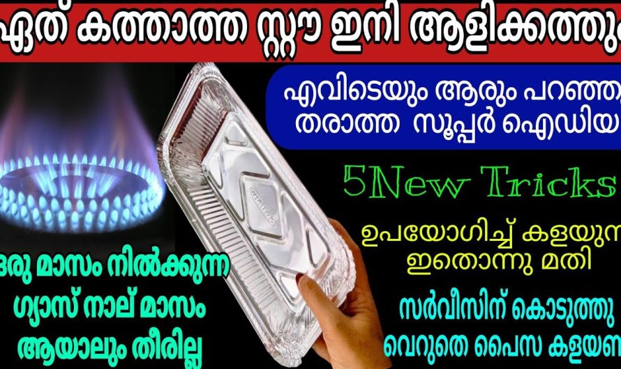 ഇനി ഒന്നല്ല മൂന്നു കാര്യങ്ങൾക്കുവേണ്ടി ഒരുതവണ ഗ്യാസ് കത്തിച്ചാൽ മതി