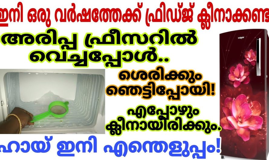 ഇതറിഞ്ഞാൽ ഇനി ഫ്രിഡ്ജ് ഒരു വർഷത്തിൽ പോലും വൃത്തിയാക്കേണ്ട കാര്യമില്ല