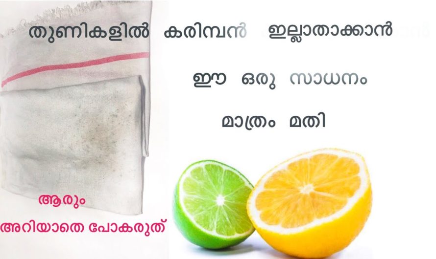 20 മിനിറ്റ് കൊണ്ട് തീരാവുന്ന പ്രശ്നങ്ങളേ ഉള്ളൂ