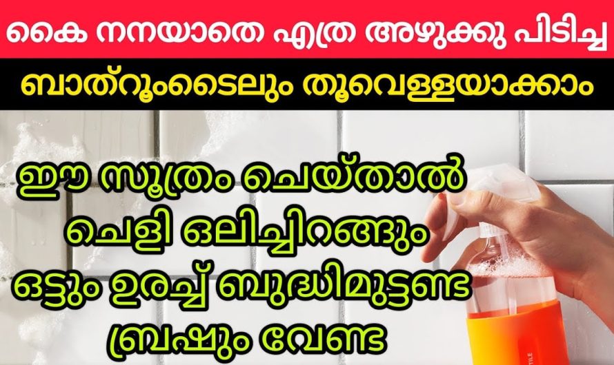 കൈ നനയാതെ മീൻ പിടിക്കാൻ മാത്രമല്ല ബാത്റൂമും വൃത്തിയാക്കാം