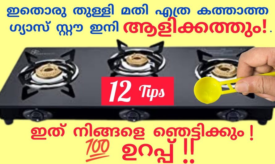 ഇനി നിങ്ങളുടെ ഗ്യാസ് അടുപ്പും കൂടുതൽ വേഗത്തിൽ കത്തും