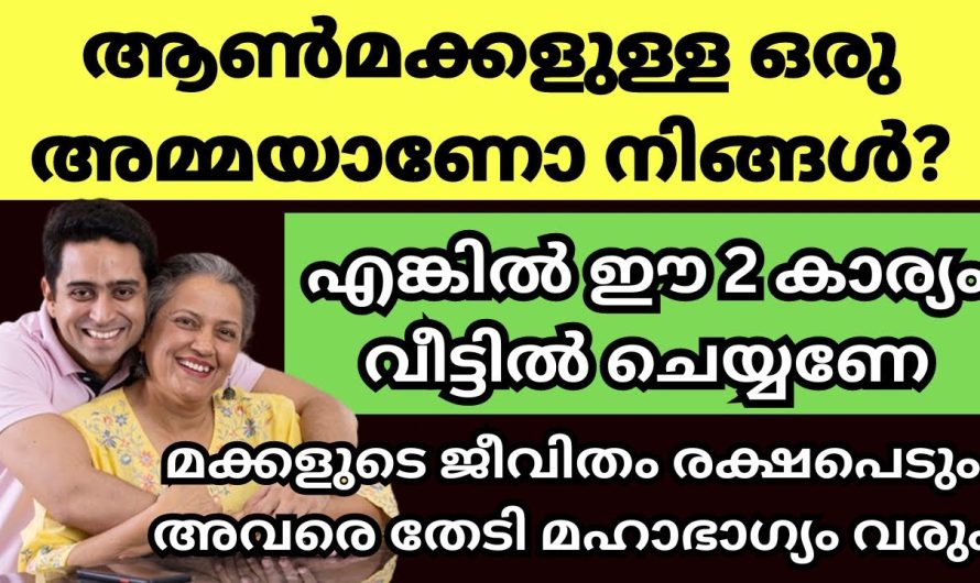 മക്കൾ ഉണ്ടെങ്കിൽ അമ്മമാർ ഉറപ്പായും ഇത് ചെയ്തു നോക്കണം