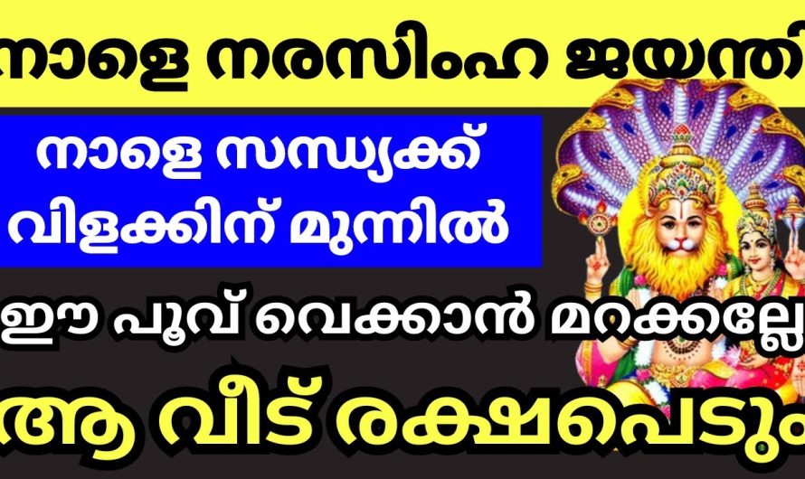 നരസിംഹ ജയന്തി ദിവസം ഈ പൂജകളെല്ലാം ചെയ്‌താൽ നിങ്ങളുടെ ജീവിതത്തിൽ വരുന്ന മാറ്റം കണ്ടറിയാം