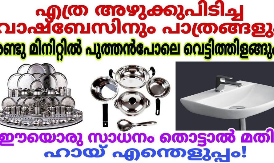 കേടു വന്നാൽ പോലും ഇതിന് വെറുതെ വിടാൻ പറ്റില്ല