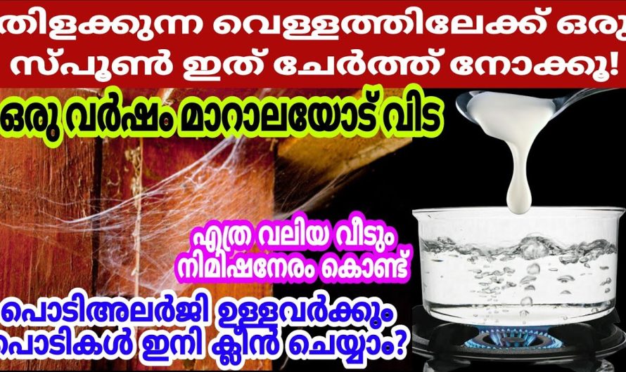 നിങ്ങളും അലർജി പ്രശ്നങ്ങൾ അനുഭവിക്കുന്നവരാണ് ഇതൊരു ടീസ്പൂൺ മതി