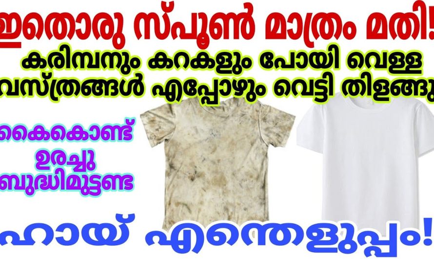 ഇനി വെറും വെളുത്തതല്ല തിളക്കമുള്ള വെളുത്ത നിറം