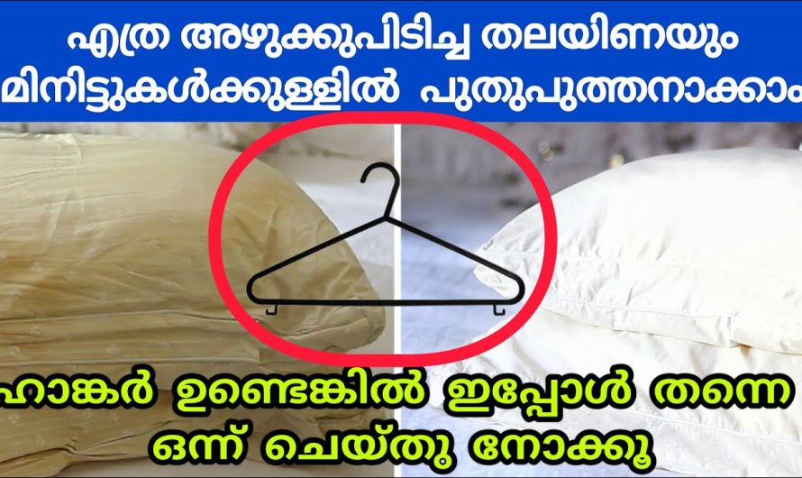 ഇനി തലയിണ കവർ മാത്രമല്ല തലയിണയും വൃത്തിയാക്കാം