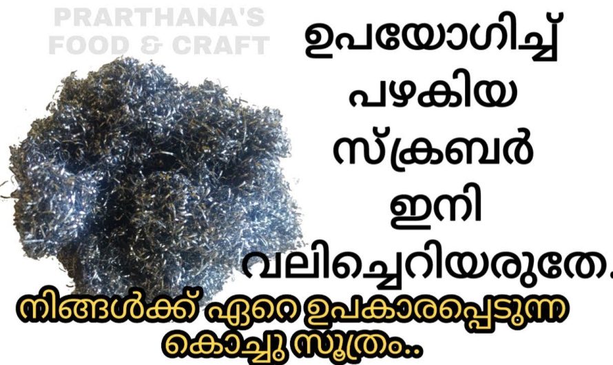 ഇതറിഞ്ഞാൽ പഴയ സ്ക്രബർ നിങ്ങൾ ഒരിക്കലും കളയില്ല