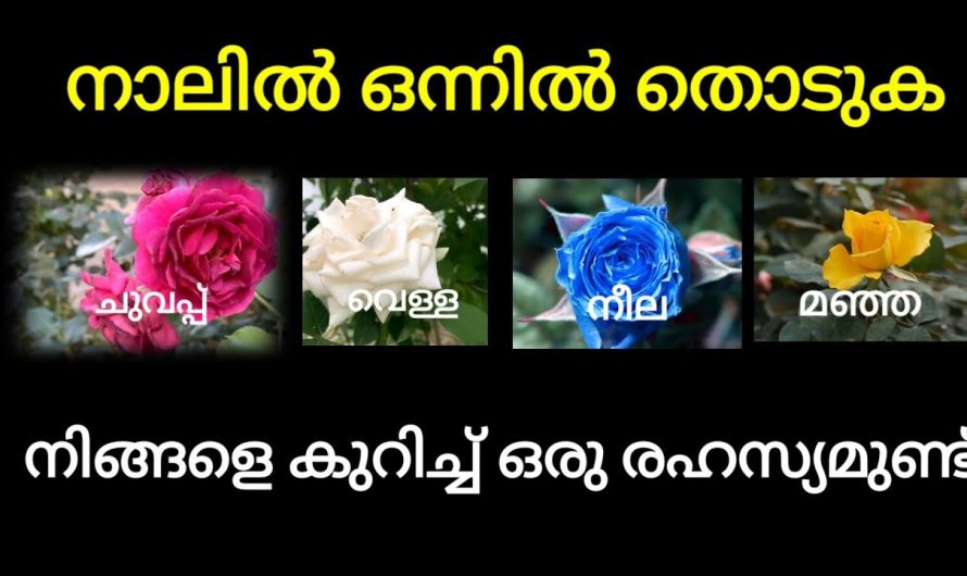 നിങ്ങളെക്കുറിച്ച് ആരും പറയാത്ത ആ രഹസ്യം അറിയാൻ ഇവയിൽ ഒന്ന് തൊട്ടു നോക്കൂ