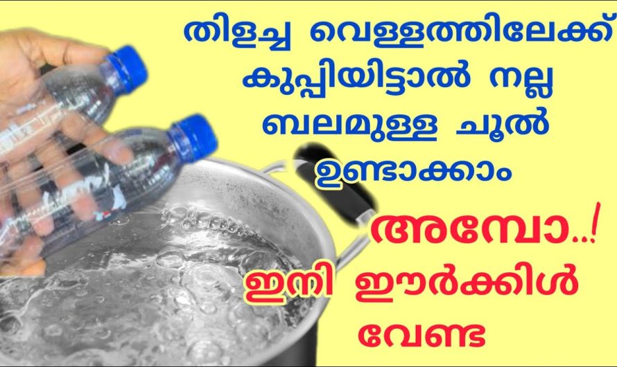 കുപ്പി കൊണ്ട് ഇങ്ങനെയൊരു കാര്യം നിങ്ങൾ ഒരിക്കലും പ്രതീക്ഷിച്ചുകാണില്ല