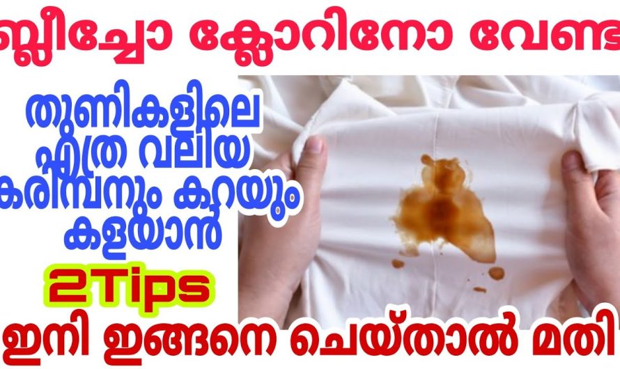 വസ്ത്രങ്ങൾ പുതിയത് പോലെയാക്കാൻ ഇത് ഇനി ഒരു നുള്ള് മതി