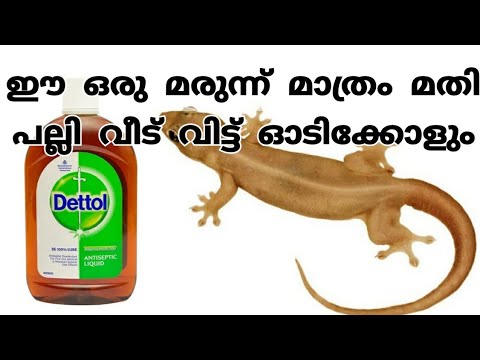 നിങ്ങൾ ഇതുവരെയും ഇക്കാര്യം അറിഞ്ഞില്ല, ഇനിയും ട്രൈ ചെയ്തു നോക്കാൻ വൈകരുത്